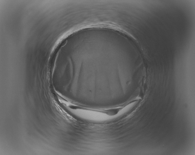 X0000076311506200610201559