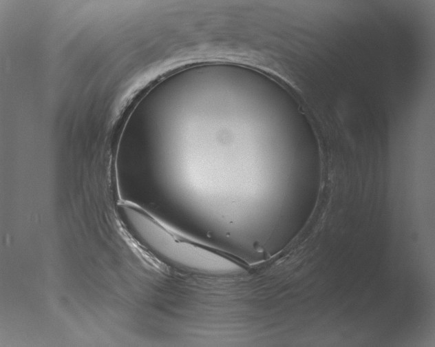 X0000076311507200610201559