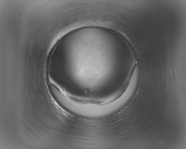 X0000076311508200610201559