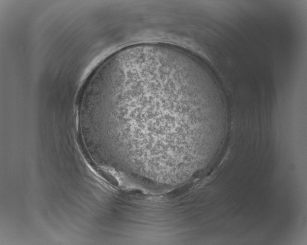 X0000076311509200610201559