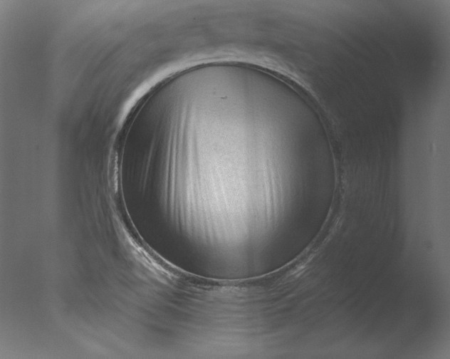 X0000076311510200610201559