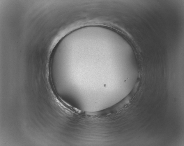 X0000076311512200610201559