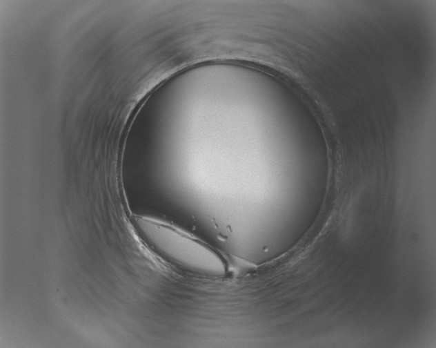 X0000076311513200610201559