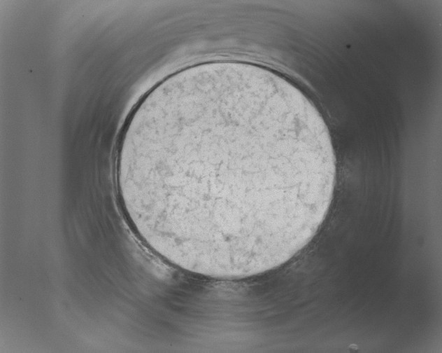 X0000076311514200610201559