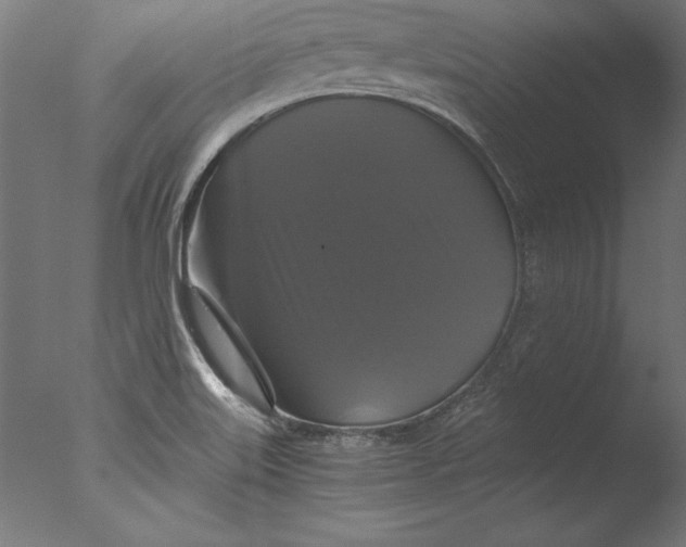 X0000076311515200610201559