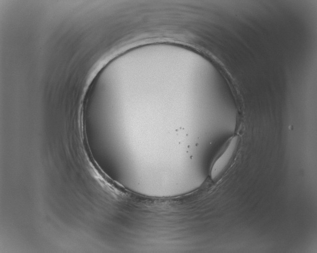 X0000076311516200610201559