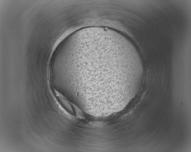 X0000076311517200610201559