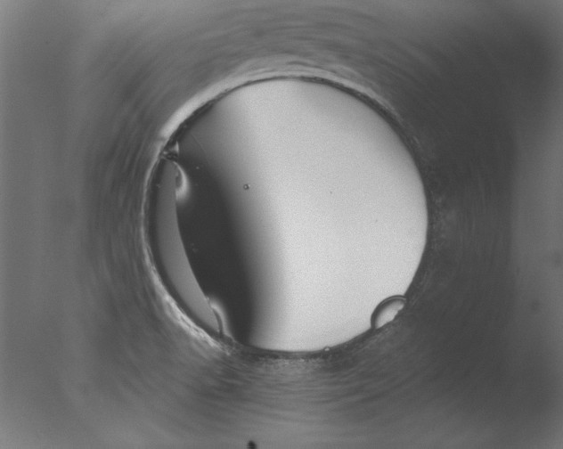 X0000076311518200610201559