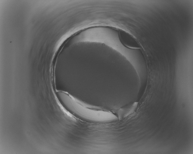 X0000076311519200610201559