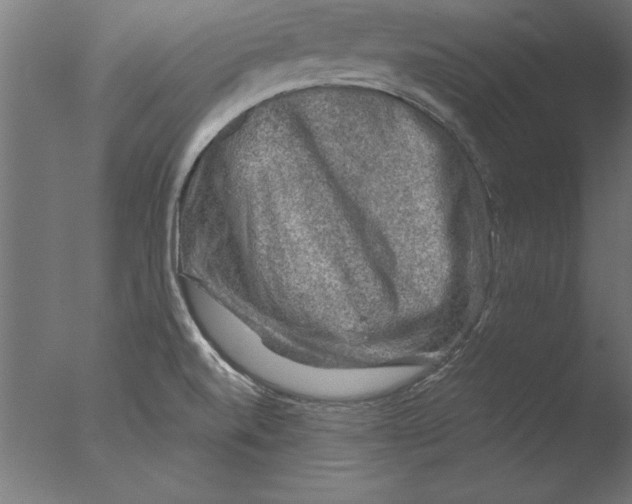 X0000076311520200610201559