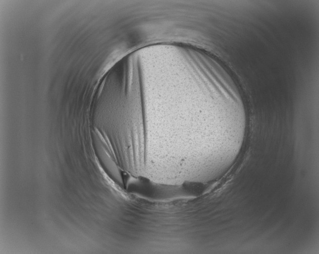 X0000076311521200610201559