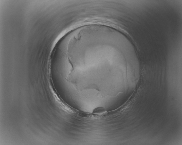 X0000076311522200610201559