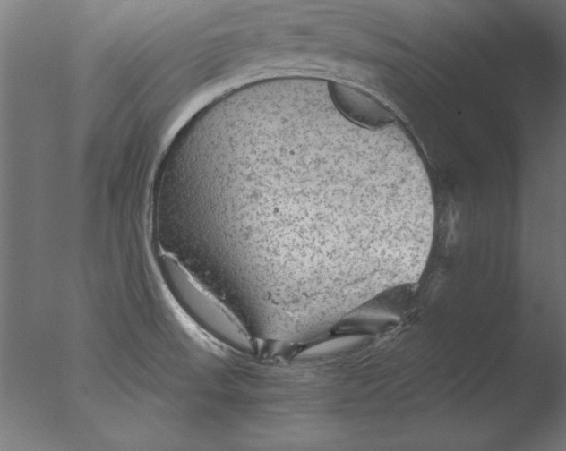 X0000076311523200610201559