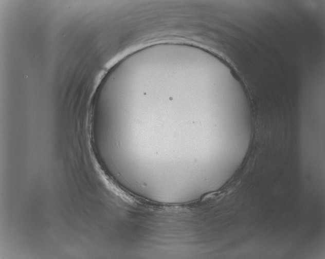 X0000076311526200610201559