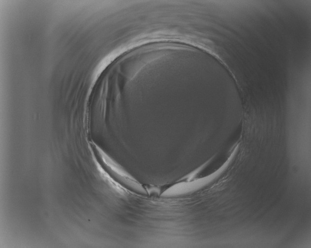 X0000076311527200610201559