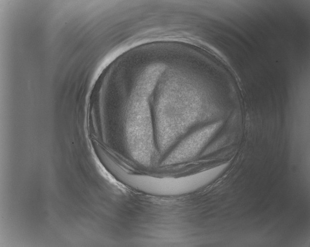 X0000076311528200610201559