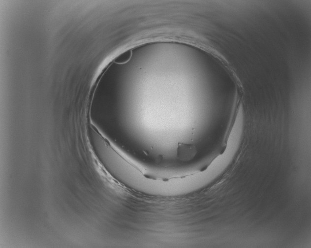 X0000076311530200610201559