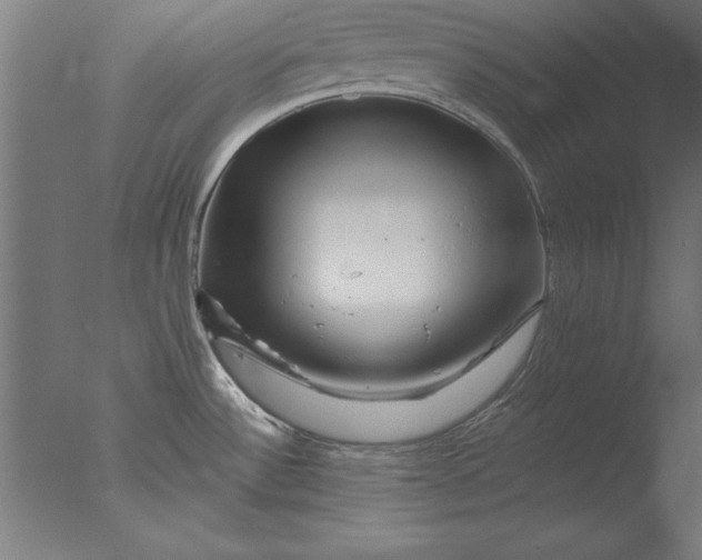 X0000076311532200610201559