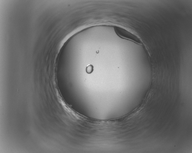 X0000076311534200610201559