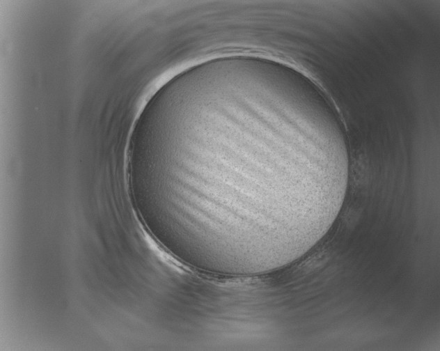 X0000076311535200610201559