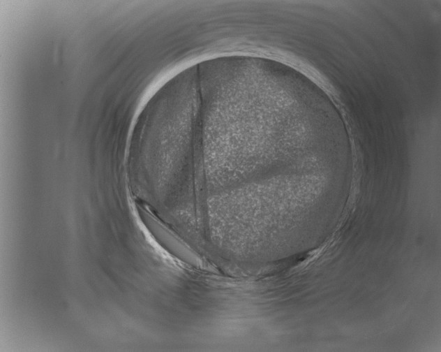 X0000076311536200610201559