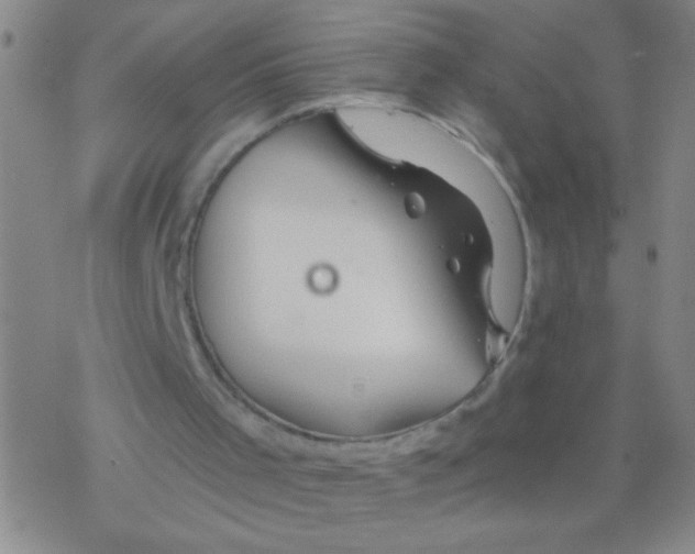 X0000076310001200610271951