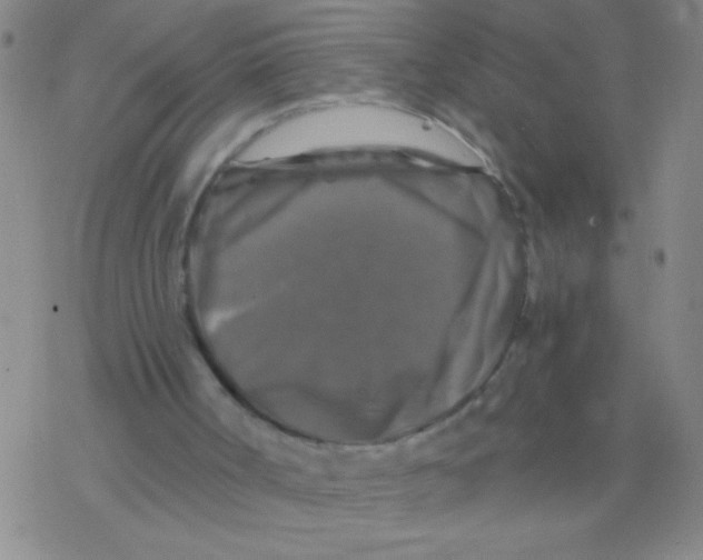 X0000076310002200610271951