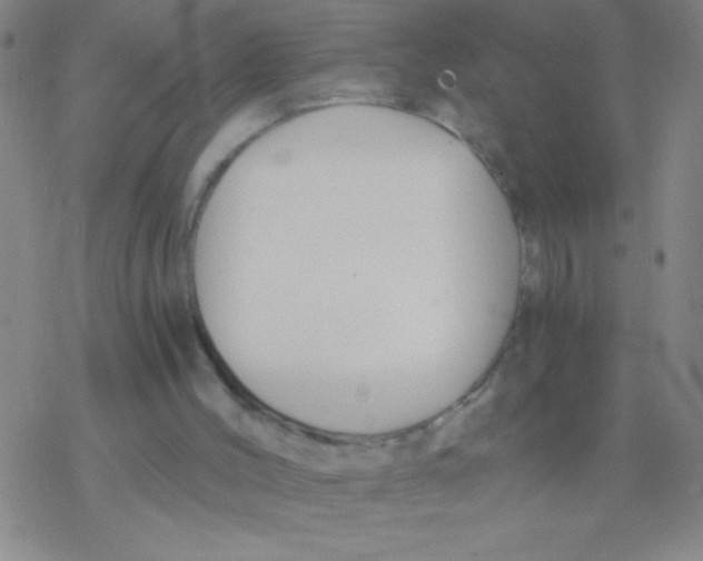 X0000076310004200610271951