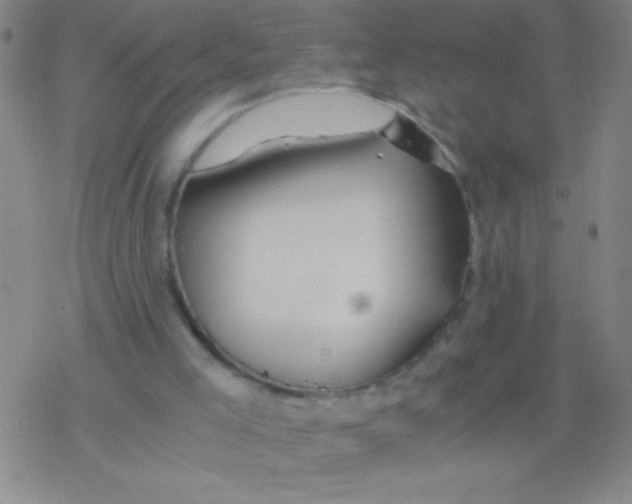 X0000076310005200610271951