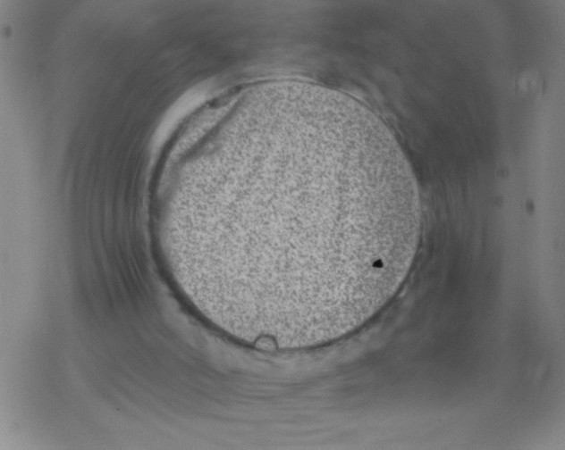 X0000076310006200610271951