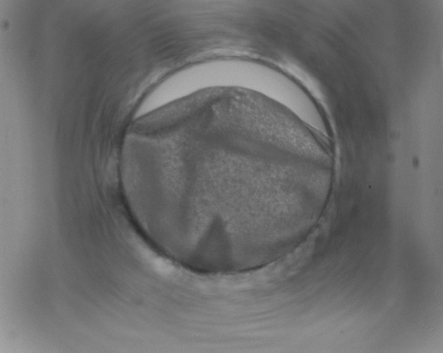 X0000076310009200610271951