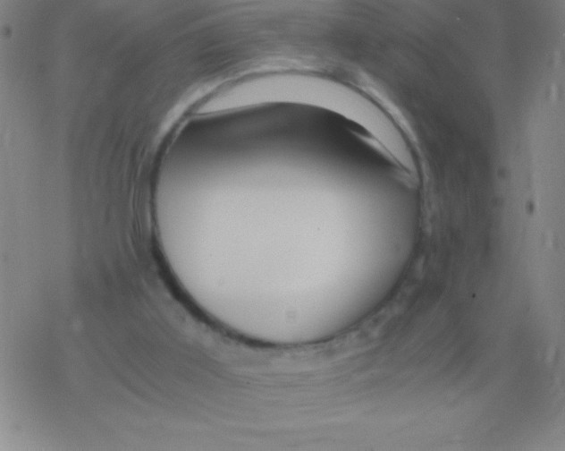 X0000076310011200610271951