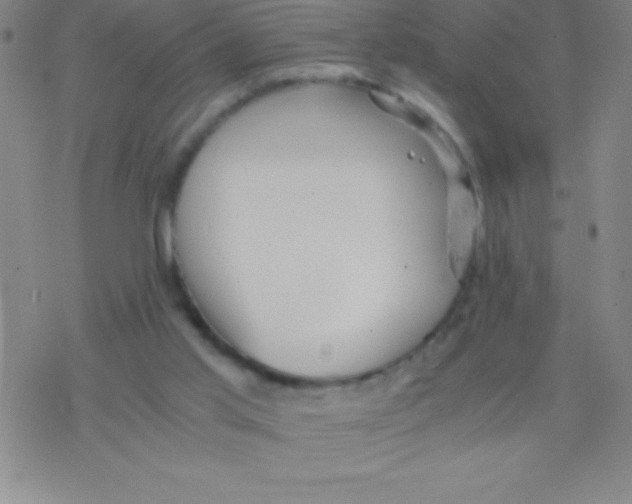 X0000076310013200610271951