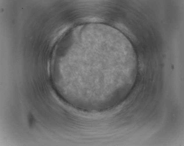 X0000076310014200610271950