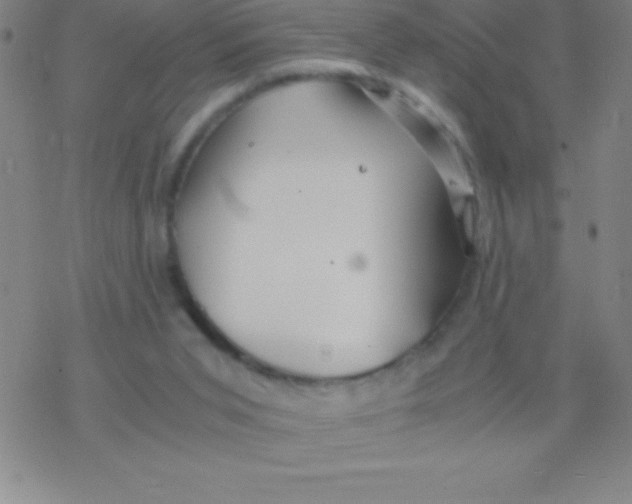 X0000076310015200610271950