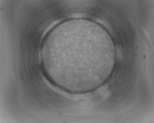 X0000076310016200610271950