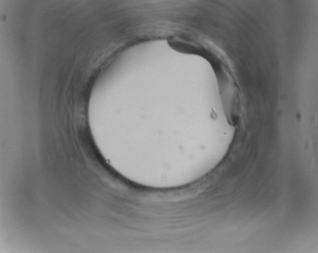 X0000076310017200610271950