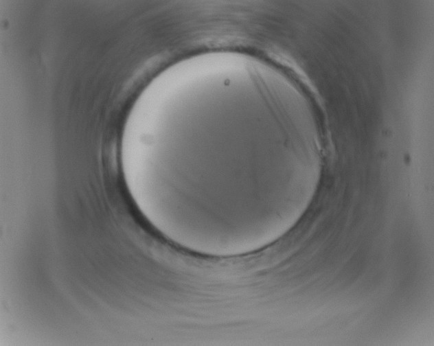 X0000076310019200610271950