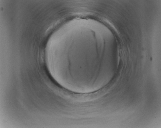 X0000076310023200610271950