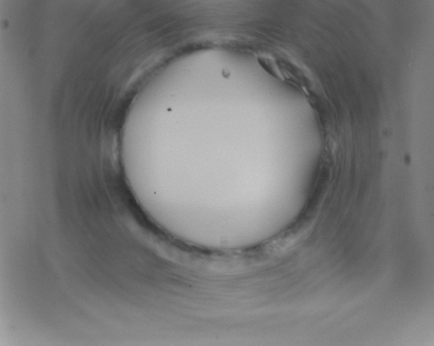 X0000076310024200610271950