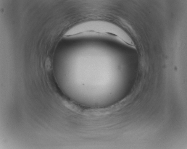 X0000076310025200610271950