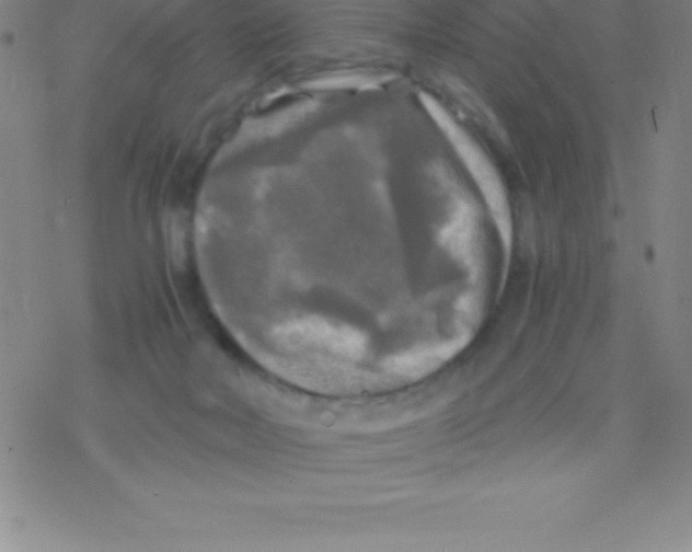 X0000076310026200610271950