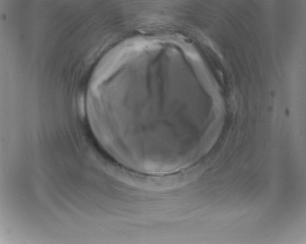 X0000076310027200610271950