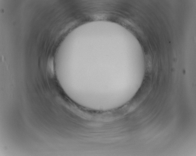 X0000076310028200610271950