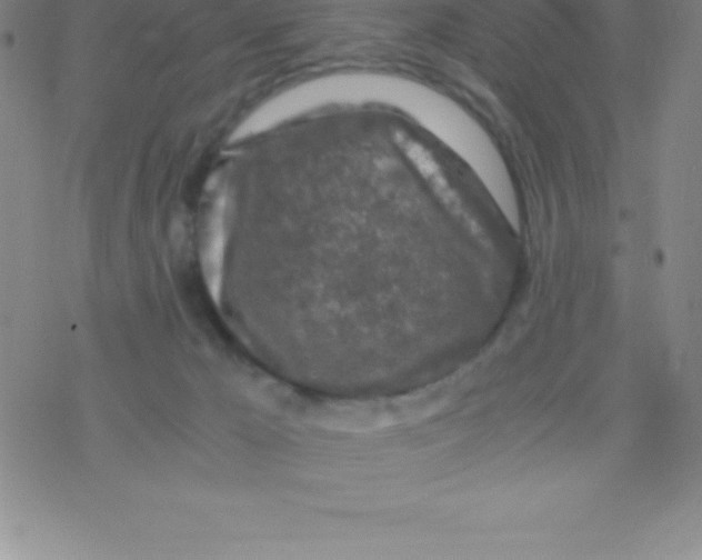 X0000076310029200610271950