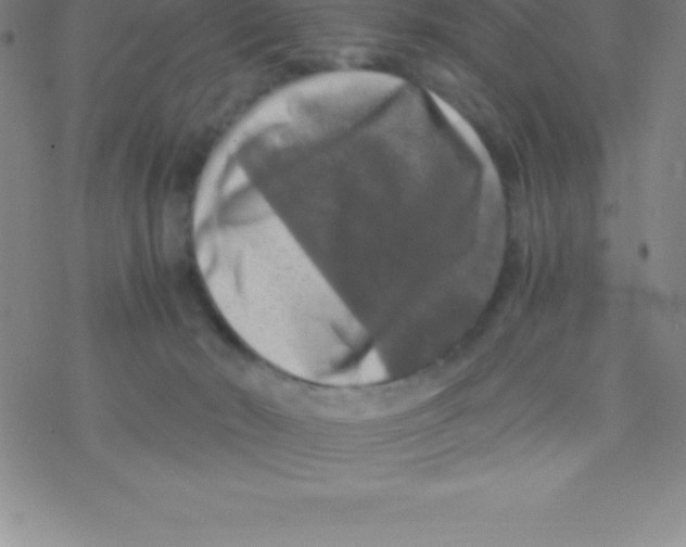 X0000076310030200610271950