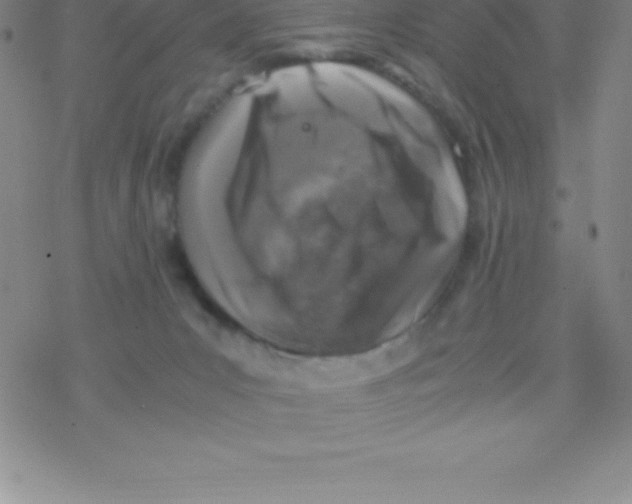 X0000076310031200610271950