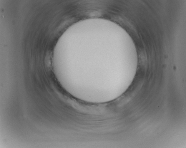 X0000076310032200610271950