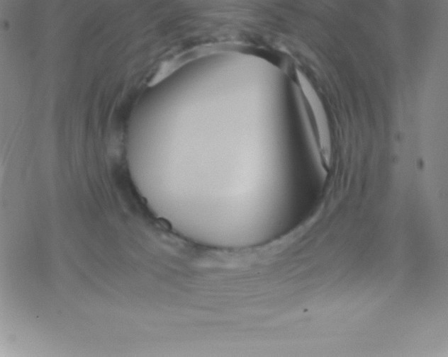 X0000076310033200610271950