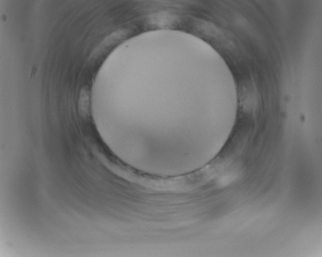 X0000076310036200610271950